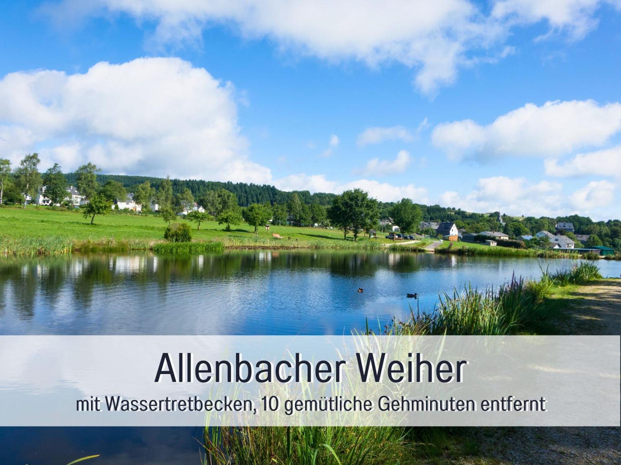 Natur-Chalet Zum Nationalpark Franz Inkl. E-Auto Allenbach Екстер'єр фото