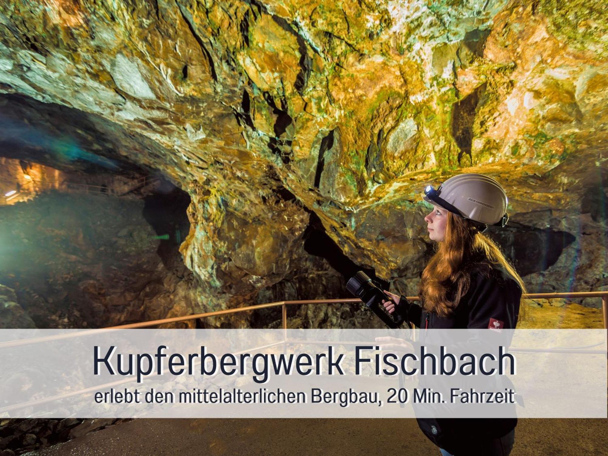 Natur-Chalet Zum Nationalpark Franz Inkl. E-Auto Allenbach Екстер'єр фото