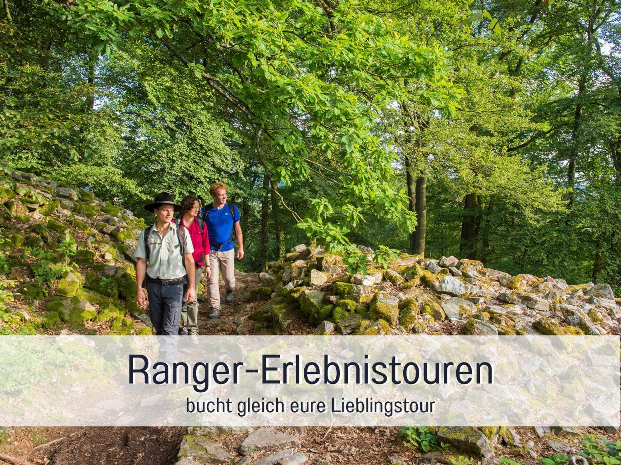 Natur-Chalet Zum Nationalpark Franz Inkl. E-Auto Allenbach Екстер'єр фото