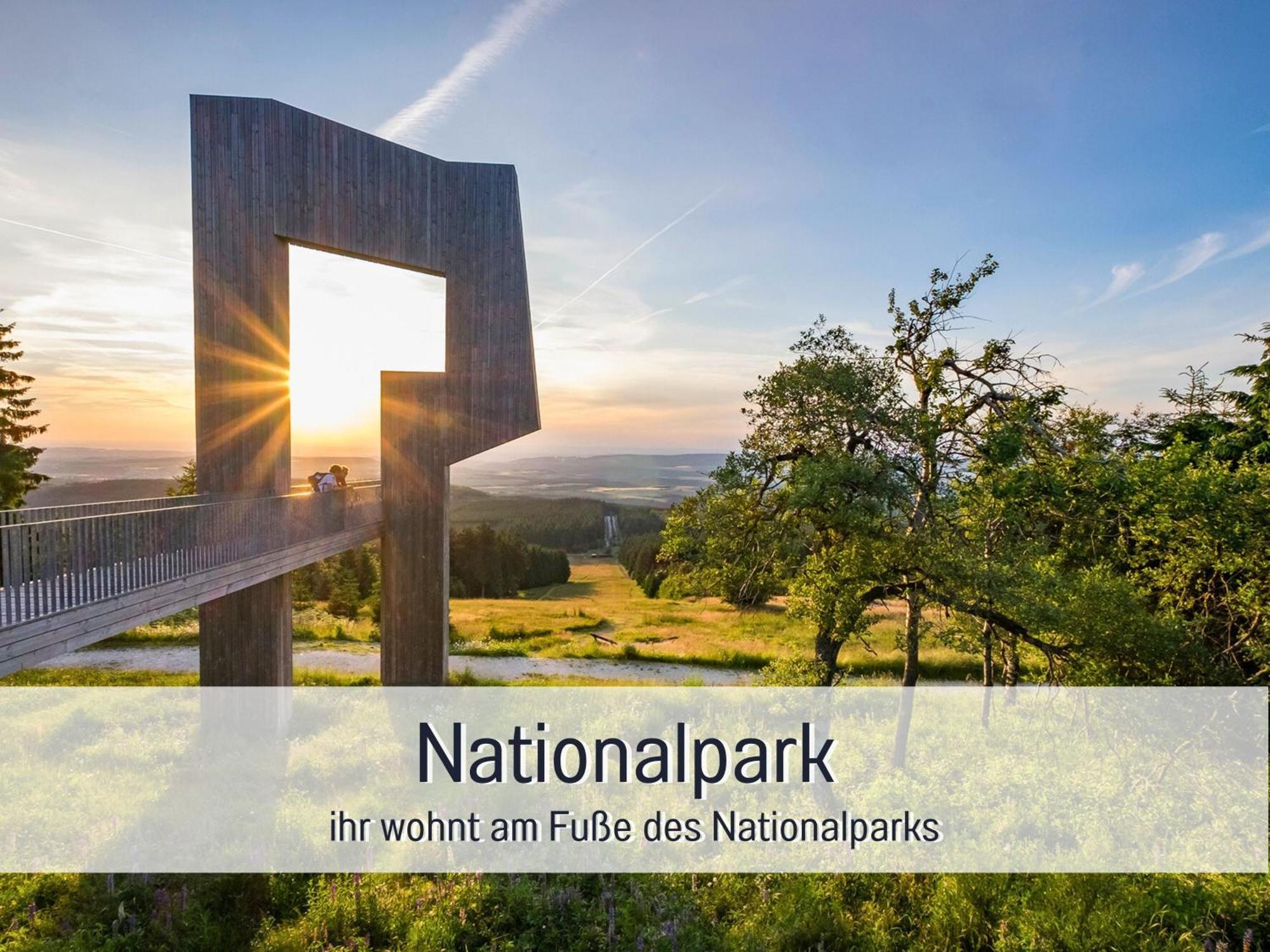 Natur-Chalet Zum Nationalpark Franz Inkl. E-Auto Allenbach Екстер'єр фото
